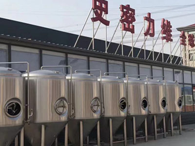 鄞州精酿啤酒设备厂—市场规模与跨界新需求